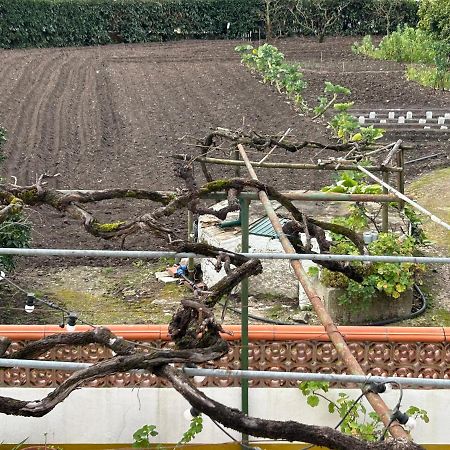Ferienwohnung Casinha Da Avo Rosario Juncal  Exterior foto