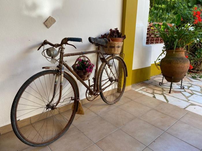 Ferienwohnung Casinha Da Avo Rosario Juncal  Exterior foto