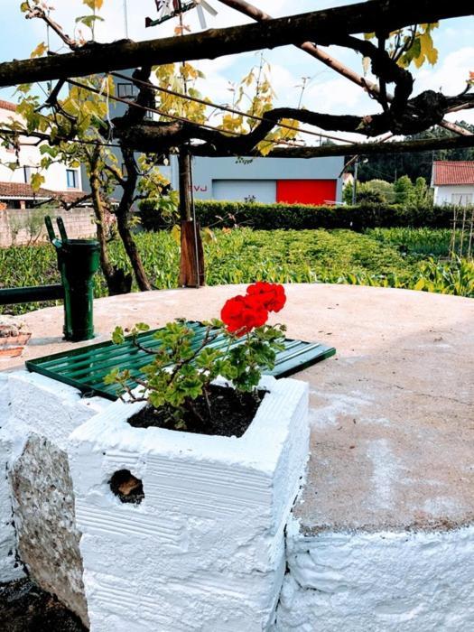 Ferienwohnung Casinha Da Avo Rosario Juncal  Exterior foto